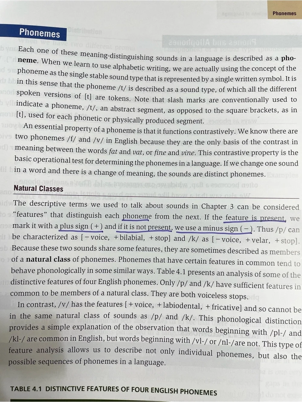 The Study of Language George Yule Eighth Edition Linguistics Textbook Cambridge